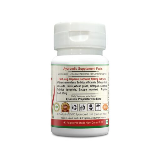 ayurvit multivitamin capsule for immunity boosting | provides natural nutrient to body | 30 vegan capsule