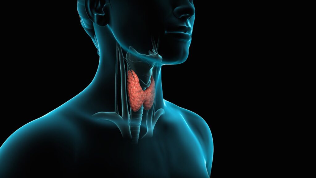 ayurvedic thyroid treatment