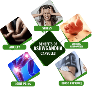 Ashwagandha Supplement benefit in ayurveda