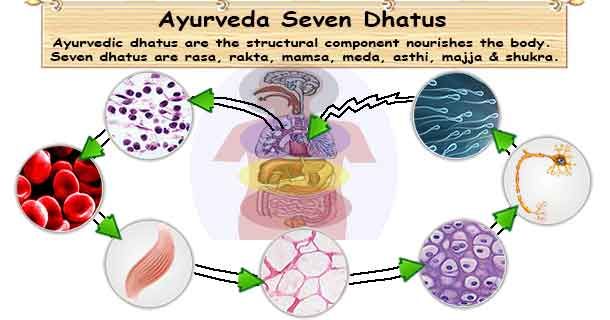 what is ayurveda
