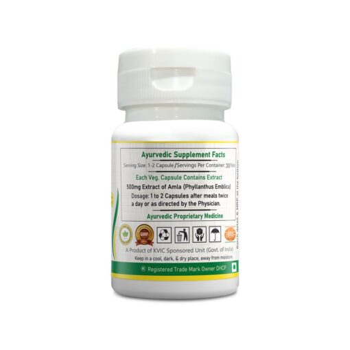 amla capsule | boosts immunity, supports digestion and liver functioning | 30 vegan capsule pack