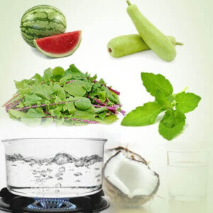 herbs used in ckd treatment