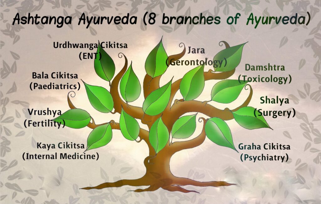 eight branches of ayurveda