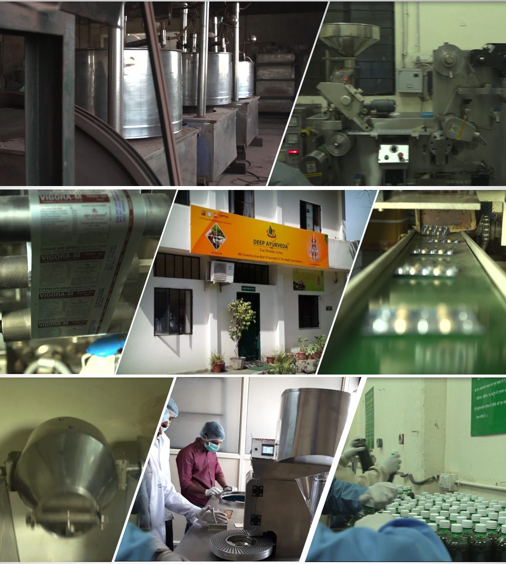 ayurveda manufacturing facility