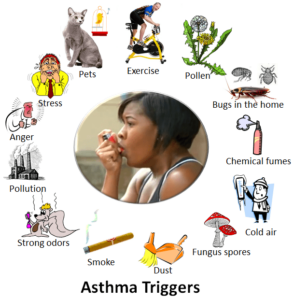 Ayurveda for Asthma Treatment