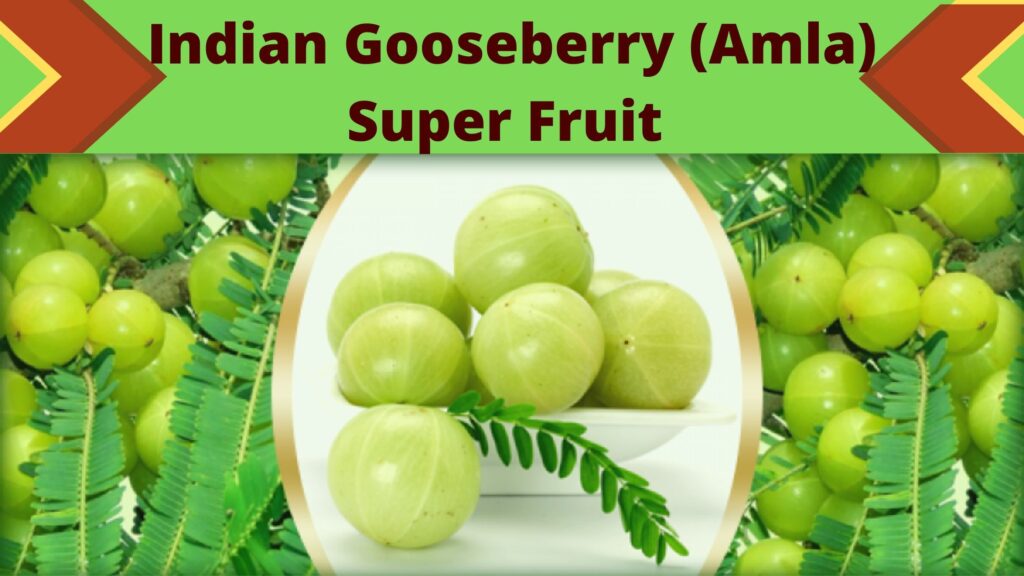Amla Indian Gooseberry