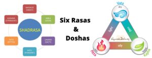 Six Rasas (Tastes) and the Doshas
