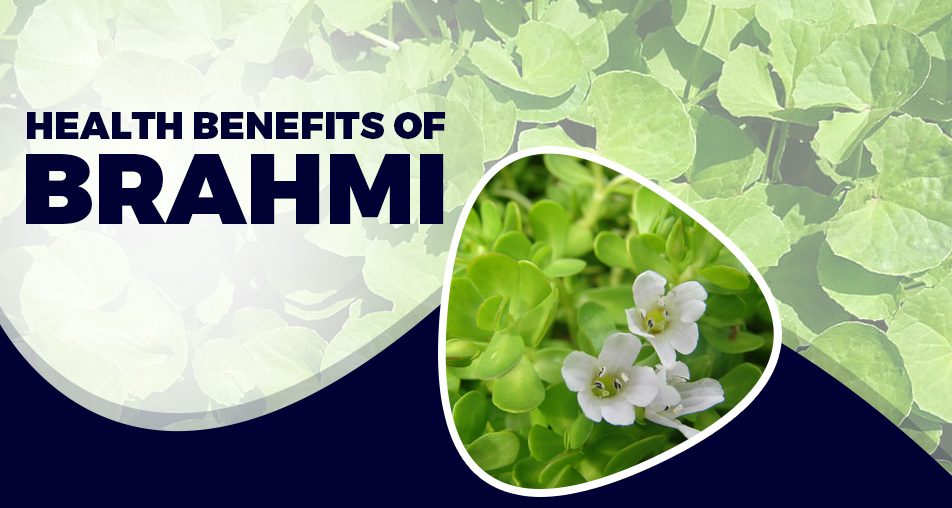 health benefits of brahmi