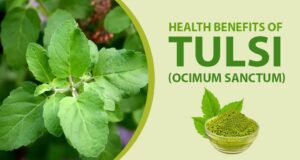 Health benefits of Tulsi