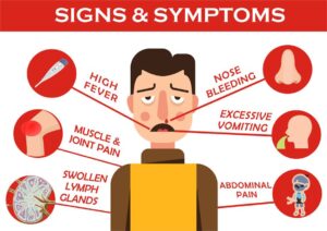 Symptoms of Dengue Fever