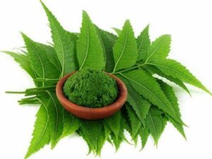 neem - ayurvedic herbs for hair fall