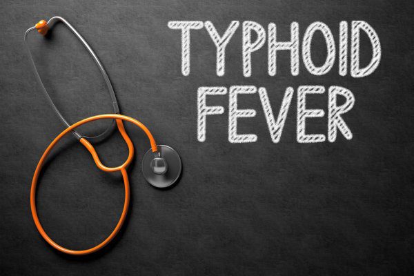 Image of Ayurvedic herbs for Typhoid fever