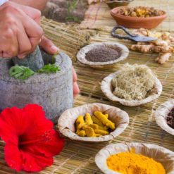 Ayurvedic Medicine and supplement for Practitioners