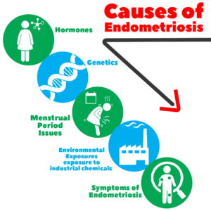 Causes of endometriosis