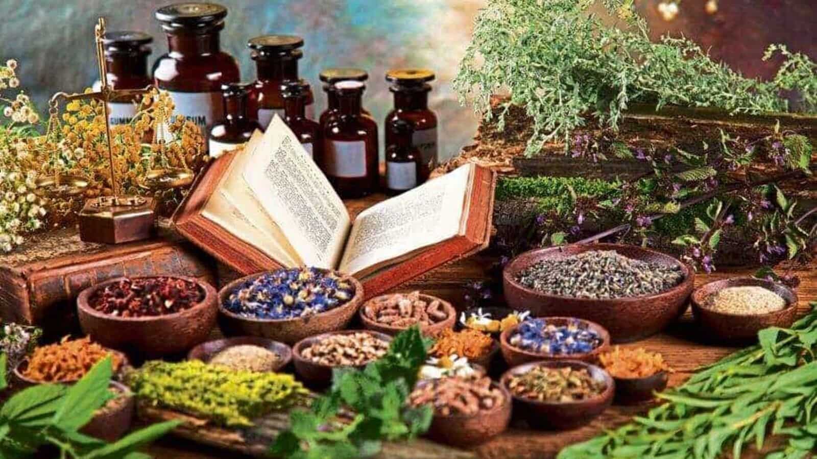 ayurveda-business-opportunities-with-ayurvedic-company-2021