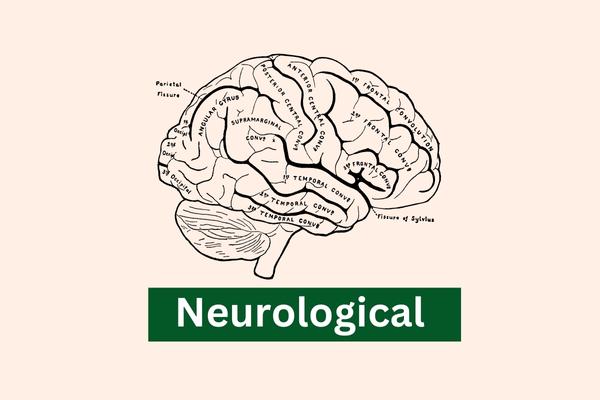 Neurological Issues