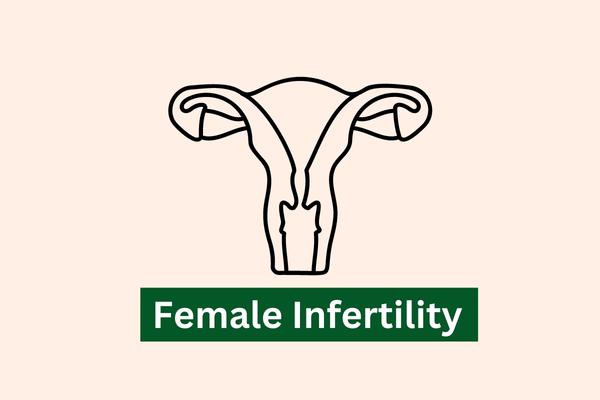 female infertility 1